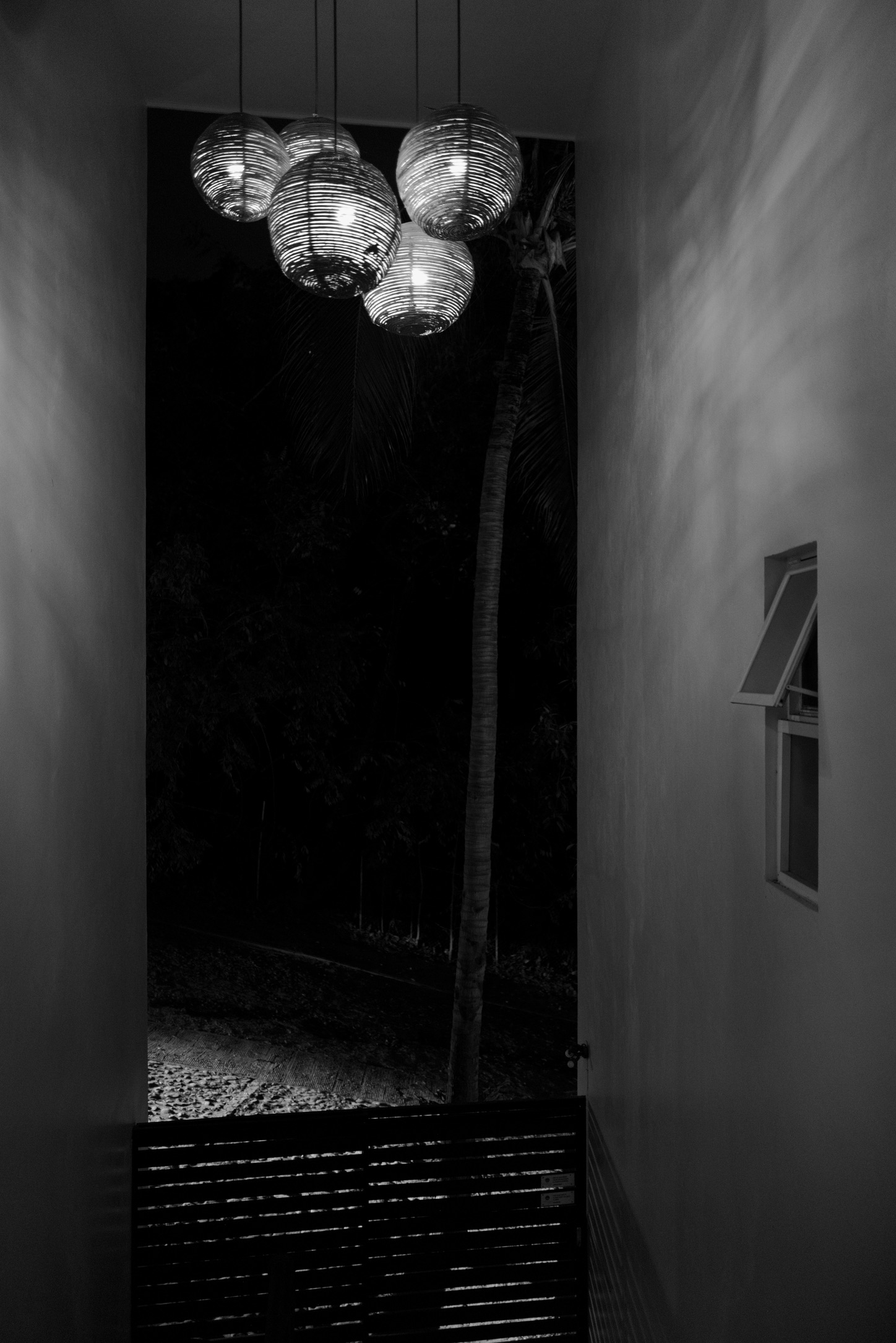 Lanterns and palm tree at night in Sayulita